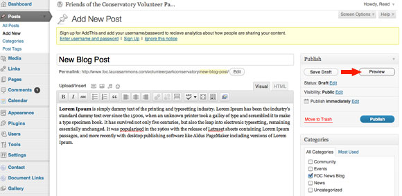 wp post preview