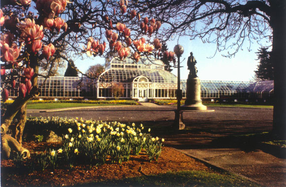 Volunteer Park Conservatory in the Spring The Volunteer Park Conservatory